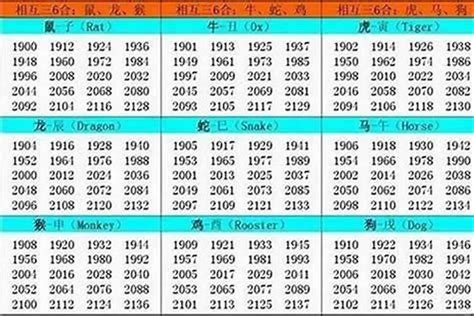 1996 屬什麼|1996 年出生属什么生肖